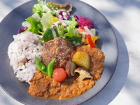 ハンバーグ on スパイスカレー