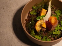 [Dinner course] Degustation 10 dishes