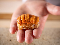 別邸特別コース