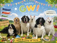 GW入場券4/29~5/10 2時間連続