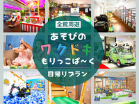 【开业纪念/仅限周六、周日、节假日/90分钟套餐】无限次卡拉OK！深受有孩子的家庭欢迎♪尽情探索整个设施！莫利科公园一日游计划