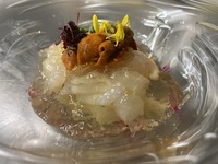 スペシャルコース！旬が盛りだくさん！シェフおまかせメニュー