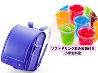 Elementary school student fee *For groups using the empty-handed plan, please add the number of elementary school students here