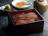 Eel Dinner set