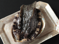 [Chef's Special Course]