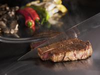 【WEB予約限定　昇龍】昇龍（厳選食材コース）