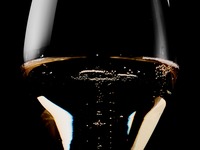 [Guaranteed Northwest Window Seat] Anniversary Lunch Buffet <Adult>