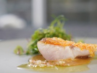 Rose ランチ（全7品）