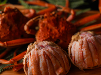 冬の特選コース