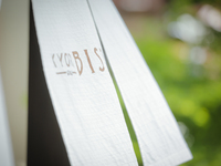 "SAKURA" LUNCH Course 