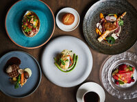 【WEB予約特典付】ディナーフルコース