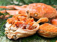 香箱蟹と奇跡の近江牛のプレミアムコース（個室）