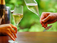 【平日/14時限定Lunch】乾杯酒付きYASAKA ※~12/19,1/15~1/31