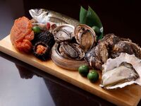 【ディナー限定】旬の高級食材、三大和牛など季節のお料理11品 ＋ 9種の日本酒ペアリング 　-万感-