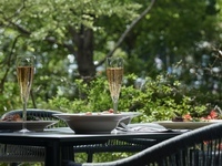 【EARLY SUMMER ランチコーステラス確約】5月26日〜6月23日 初夏のLUNCHコース テラス席確約プラン 6500円 (LUNCH)
