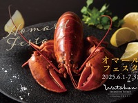 【オマール海老 ディナーコース】全9品＋ワインペアリング4杯付