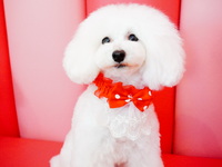 Weekdays only⭐︎Repeat customer course (1 hour)