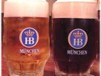 月曜日限定 ◆ 飲み放題 ◆   4000円(税込)/2時間30分