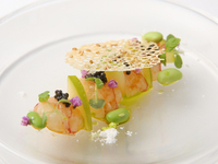 ライトディナーコース　