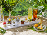 [standard] Tropical Forest Afternoon tea