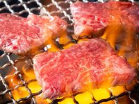 新・琉球コース