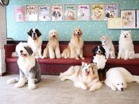 [Weekday Pool Event] Party Buffet & Interaction Plan