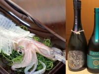 【お茶室でのお抹茶付き】1人１杯呼子イカ付き鮨OMAKASEコース＋日本酒ゴールドペアリングコース