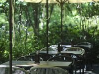 【SUMMER ランチコース】6月24日〜7月19日 夏の沖縄LUNCHコース 5500円 (LUNCH)