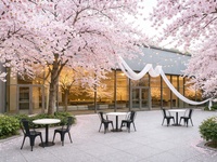 【DINNER】15階 桜咲く空中庭園 テラスプラン＜120分飲み放題付き＞