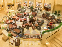 Lounge seats [Obon limited dinner buffet] Adults