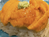 【ランチ】おまかせ特選