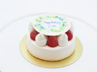 Sサイズフォトプレート