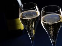 【窓際確約×シャンパン×ケーキ】シェフおすすめディナー