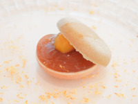 [Carefully selected ingredients] A beautiful 10-course meal that showcases the chef's skill