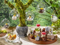 [premium] Tropical Forest Afternoon tea
