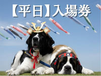 Billet d'entrée (en semaine)