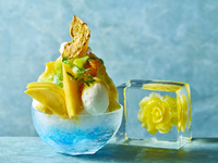 Fluffy Art Ice　-Mango-