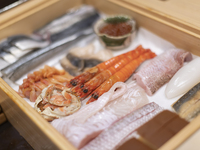 夜のおまかせコース　