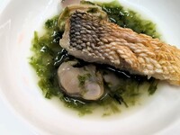 Menu Degustation＜ディナータイムフルコース＞