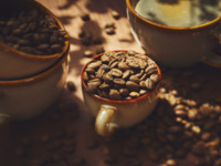 [Take-out coffee included] Antipasto & sweets buffet