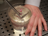 Quarter Room Classic Cocktail Course
