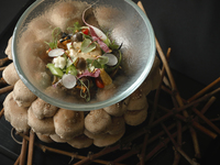 【Chef's Table】MENU SIGNATURE (Including alcohol pairing menu)