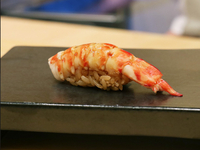 Chef's choice short course