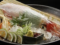 活ヤリイカの姿造りと厳選焼き鳥コース6000円飲み放題込み