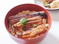 Shizuoka eel meal