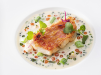 Dinner Kazahana +1 drink