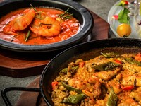 ～Casualコース～乾杯スパークリング付・彩りパエリアやアヒージョ・ポークグリルなど全8品【2H飲み放題付】		