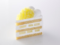 スーパーメロンショートケーキ