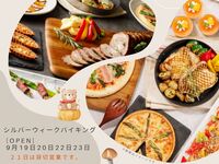 シルバーウィークバイキング幼児