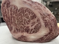 Special Omakase Course (with all-you-can-drink)